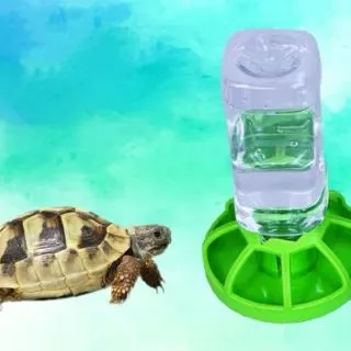 ถาดน้ำเต่าบกสีเขียว ใส่น้ำอัตโนมัติ 250ML