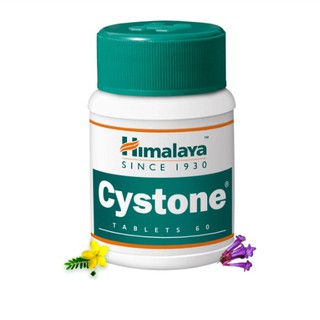 Himalaya Cystone 60 เม็ด ดูแล/สลาย/นิ่วในไต