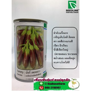 มะเขือม่วงลิงมังกี้20 กรัม