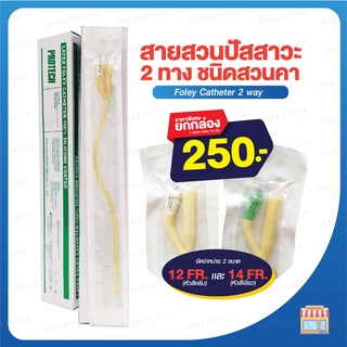 Protech สายสวนปัสสาวะ 2 ทาง No.12 และ No.14 (Foley catheter)