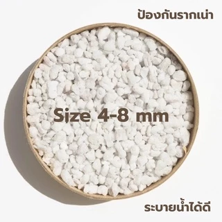 เพอร์ไลท์ (Perlite) เต็มเม็ด ฝุ่นน้อย (1ลิตร, 3ลิตร) วัสดุปลูกนำเข้าแบ่งบรรจุ