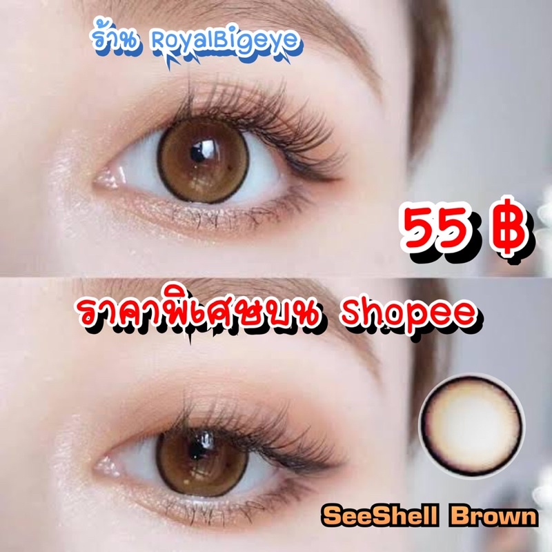 คอนแทคเลนส์ SeeShell Brown สีน้ำตาลขนาดตาโต มีสายตาถึง -7.00 ราคา ถูกที่สุด ดีลบีเคเค