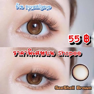 คอนแทคเลนส์ 🎀 SeeShell Brown 🎀(Wink Lens)[มีค่าสายตาสั้นถึง 600]💝สีน้ำตาลขนาดบิ๊กอายหวานสวยแบ๊วขายดี