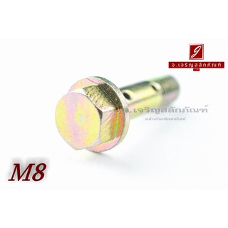 น็อตน้ำมัน Oil Bolt ขนาด M8x1.0x30 แบบ 2 รู