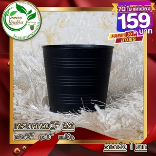 [ส่งฟรี]กระถางเกรดAAA 3 นิ้ว 70 ใบ 159บาท By.คิม เกษตรเงินล้าน