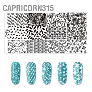 Capricorn315 แผ่นแม่แบบสเตนเลส ทรงสี่เหลี่ยมผืนผ้า สําหรับปั๊มตกแต่งเล็บ Diy