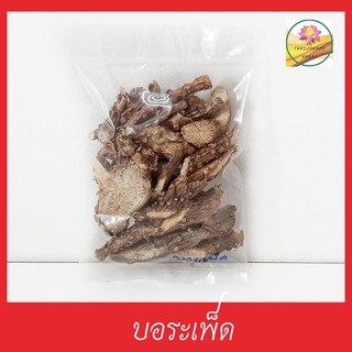 บอระเพ็ด บอระเพ็ดแห้ง