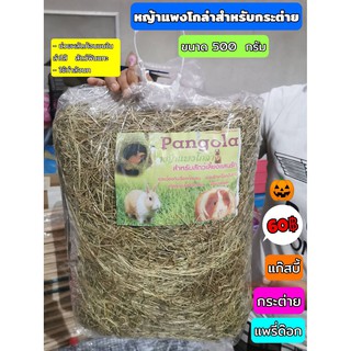 หญ้าแพงโกล่า หญ้าแพงโกล่าอบแห้ง ขนาด 500 กรัม ผลัดก้อนขนในลำไส้  (หญ้าอ้วน)​ทำรัง นอน เสริมไพเบอร์ หญ้ากระต่าย