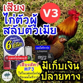 (MP3 เสียงต่อสัตว์) เสียงไก่ผู้+เมียV.3 [6ชั่วโมง] ใส่แฟลชไดร์ฟ/เมมโมรี มีเก็บเงินปลายทาง เสียงดี ชัด100% ไม่มีโฆษณาแทรก