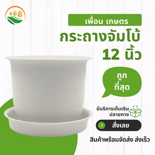 กระถางต้นไม้ กระถาง กระถางต้นไม้พลาสติก minimal กระถางจัมโบ้ Jumbo ขนาด 12 นิ้ว สีขาว