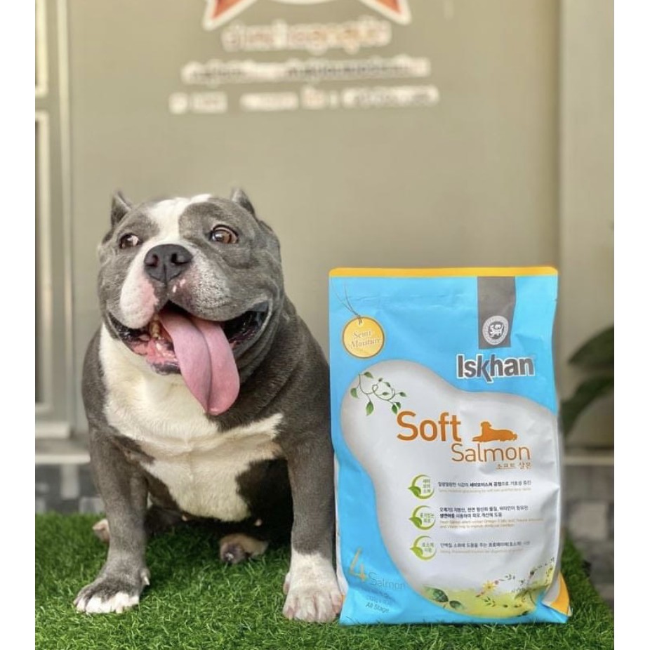 อาหารสุนัขเม็ดนิ่ม Iskhan Soft Salmon อีสคาน ซอฟท์  มี 4 สูตร เม็ดนิ่มกินง่าย (ขนาด 1-1.2kg)