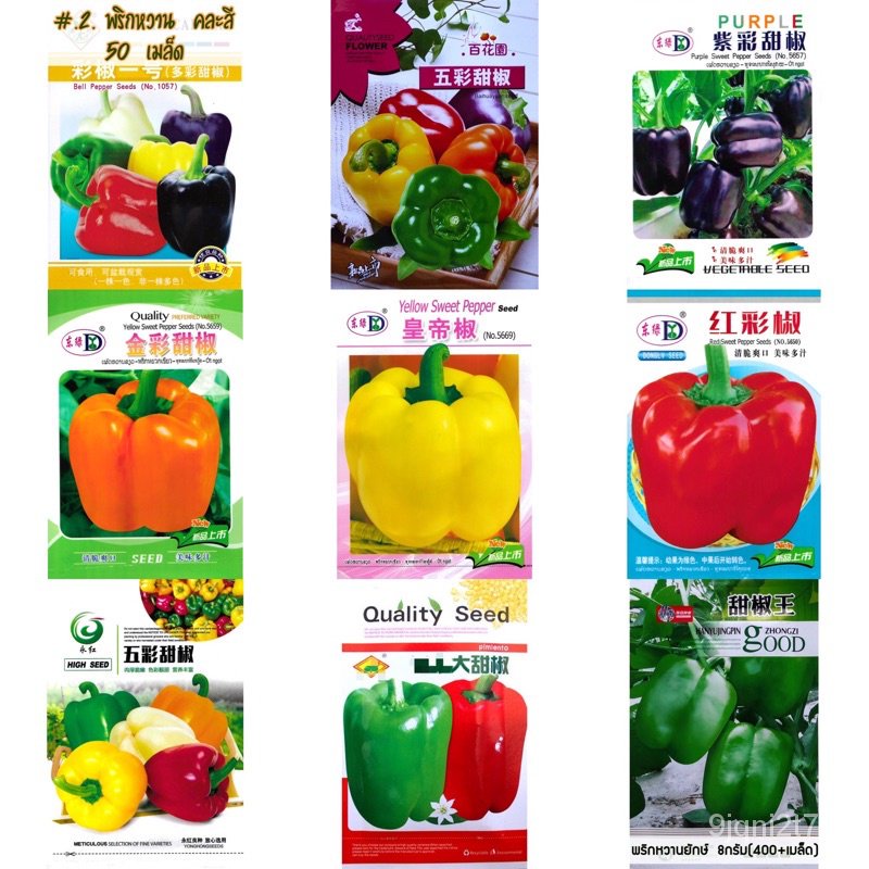 ผู้ผลิตเมล็ดพันธุ์/เมล็ด พริกหวาน คละสี/ส้ม/ม่วง/เหลือง/แดง/เขียว 50-100 เมล็ด  Bell Pepper Col/เมล็ด เมล็ดพันธุ์ ต้น