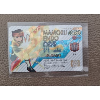 Inazuma Eleven License Endo mamoru