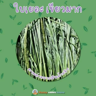 หญ้าทิมโมธีพรีเมี่ยมอบลมร้อน timothy เกรดยอดอ่อน มีไฟเบอร์วิตามิน สำหรับสัตว์ฟันแทะ กระต่าย แกสบี้ แพรี่ด็อก
