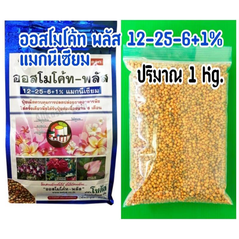 ปุ๋ยออสโมโค้ท พลัส 12-25-6+1% แมกนีเซียม   ปุ๋ยละลายช้า ออสโมโค้ท แบ่งขาย  1 กิโล( ชนิดแบ่งขายถุงซิปใสแบบในรูป )