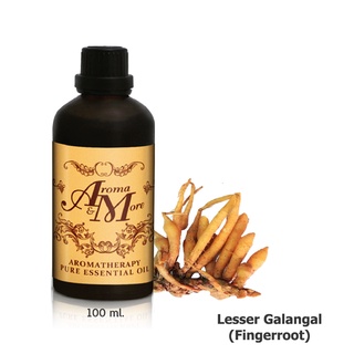 Aroma&amp;More  Lesser Galangal(Fingerroot) Essential Oil น้ำมันหอมระเหยกระชาย 100%,(Fresh) THAI 100ML