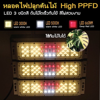 [พร้อมส่ง]🍀ไฟปลูกต้นไม้🍀 150W 💡LED Grow Light AC 220V  โตเร็ว ทันใช้ ปลูกพืช ไม้ใบ มอนเตอร่า ไฟสีเหลือง3250K มีLED 660nm