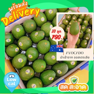 (ปลีก 10 ลูก)Avocado อะโวคาโด ออสเตรเลีย