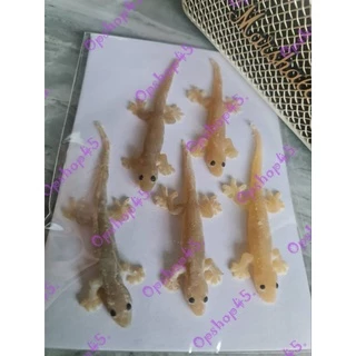 จิ้งจกปลอมจากยางพารา🦎🦎🦎🦎🦎
