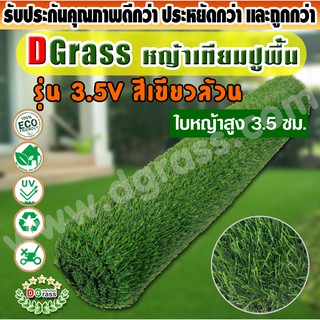 หญ้าเทียม ปูพื้น Dgrass หญ้าเทียม ตกแต่งสวน สีเขียว (ใบหญ้าเล็ก) ความสูง 3.5 ซม. VICTORY Green-All (3.5V เขียวล้วน)