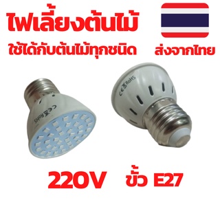 ไฟเลี้ยงต้นไม้ ไฟปลูกต้นไม้ led  led grow ไฟปลูกพืชในร่ม หลอดไฟเลี้ยงต้นไม้