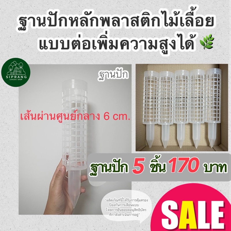 [ฐานปักขนาดใหญ่ 5 ชิ้น] หลักไม้เลื้อย/เสาไม้เลื้อย ขนาดใหญ่ เส้นผ่านศูนย์กลาง 6 ซม. แบบต่อเพิ่มความสูงได้