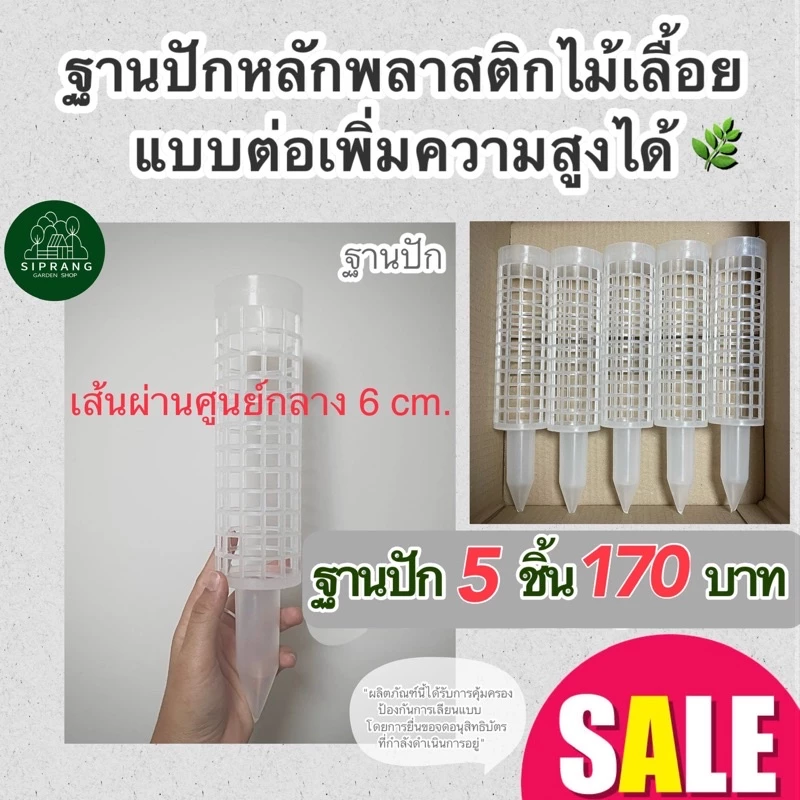 [ฐานปักขนาดใหญ่ 5 ชิ้น] หลักไม้เลื้อย/เสาไม้เลื้อย ขนาดใหญ่ เส้นผ่านศูนย์กลาง 6 ซม. แบบต่อเพิ่มความสูงได้