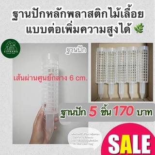 [ฐานปักขนาดใหญ่ 5 ชิ้น] หลักไม้เลื้อย/เสาไม้เลื้อย ขนาดใหญ่ เส้นผ่านศูนย์กลาง 6 ซม. แบบต่อเพิ่มความสูงได้