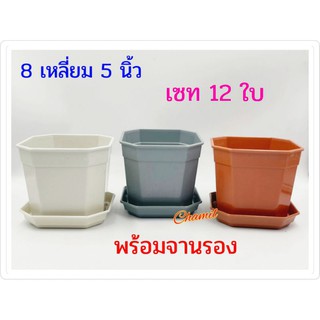 กระถางต้นไม้ 5 นิ้ว + จาน เซท 12 ใบ (8 เหลี่ยม) กระถางต้นไม้พลาสติก มี 4 สี สีขาว สีเทา สีส้มอิฐ สีดำ