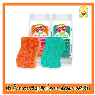 Scotch-Brite® แผ่นใยขัดพร้อมฟองน้ำสครับดอท สำหรับงานไร้ริ้วรอย และงานทั่วไป scrub