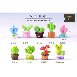 [MC341] ตุ๊กตุ่นจิ๋ว กระบองเพชรสีสัน 🏜️ (1 ต้น ราคา 25 บาท | เซต (9 ต้น) ราคา 198 บาท)