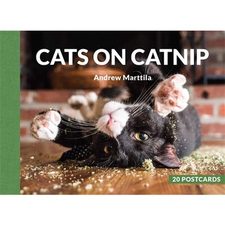 Cats on Catnip : 20 Postcards