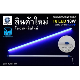 IWACHI หลอดนีออนสี ขั้วกันน้ำ รุ่นใหม่ LED T8 18W สีน้ำเงิน