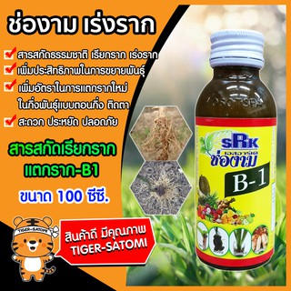 ช่องาม วิตามิน บี-1 B-1 น้ำยาเร่งราก ขนาด 100 ซีซี. (Root Booster)เรียกราก แตกราก สารเร่งราก ช่องาม แช่ท่อนพันธ์ ตอนกิ่ง