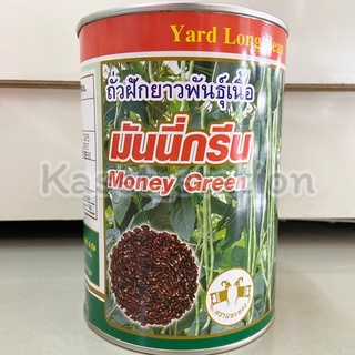 ถั่วฝักยาวมันนี่กรีน 500กรัม ทนต่อโรค  ฝักดก น้ำหนักดี