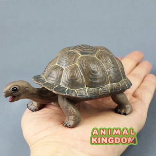 Animal Kingdom - โมเดลสัตว์ เต่ายักษ์ กาลาปาโกส ขนาด 12.50 CM (จากสงขลา)