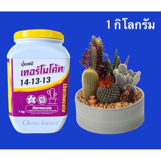เทอร์โมโค้ท 14-13-13 Thermocote # ปุ๋ยละลายช้า  ขนาด 1 กิโลกรัม
