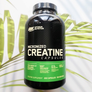 ครีเอทีน Micronized Creatine 2500 mg 200 Capsules (ON™ Optimum Nutrition®) เพิ่มความแข็งแรงและมวลกล้ามเนื้อ บำรุงสมอง