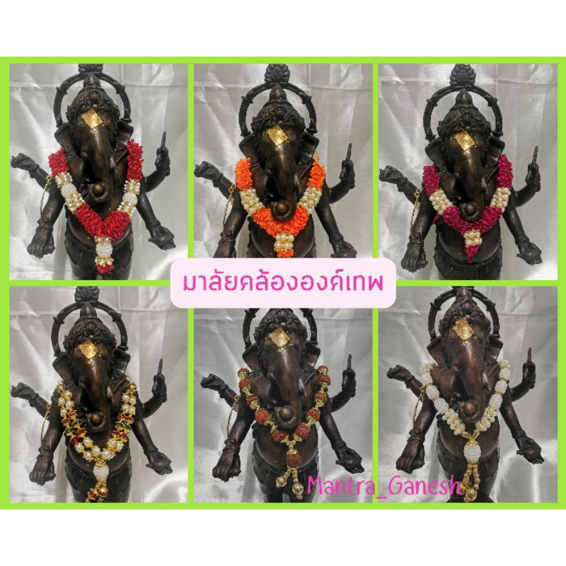 มาลัยอินเดีย​ ( มาลัยแขก)​