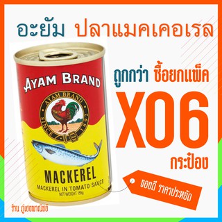 ปลากระป๋อง อะยัม อะยัมปลาแมกเคอเรลในซอสมะเขือเทศ x 6 กระป๋อง (แพ็ค)