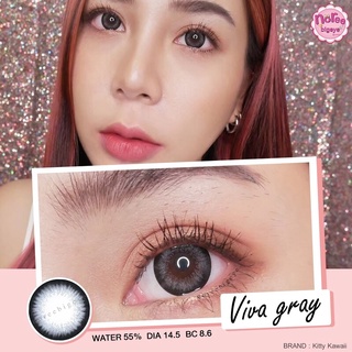 🌿Bigeyes Viva Brown/Gray🌿สายตาปกติถึง-3.00,-4.00(Kitty kawaii)