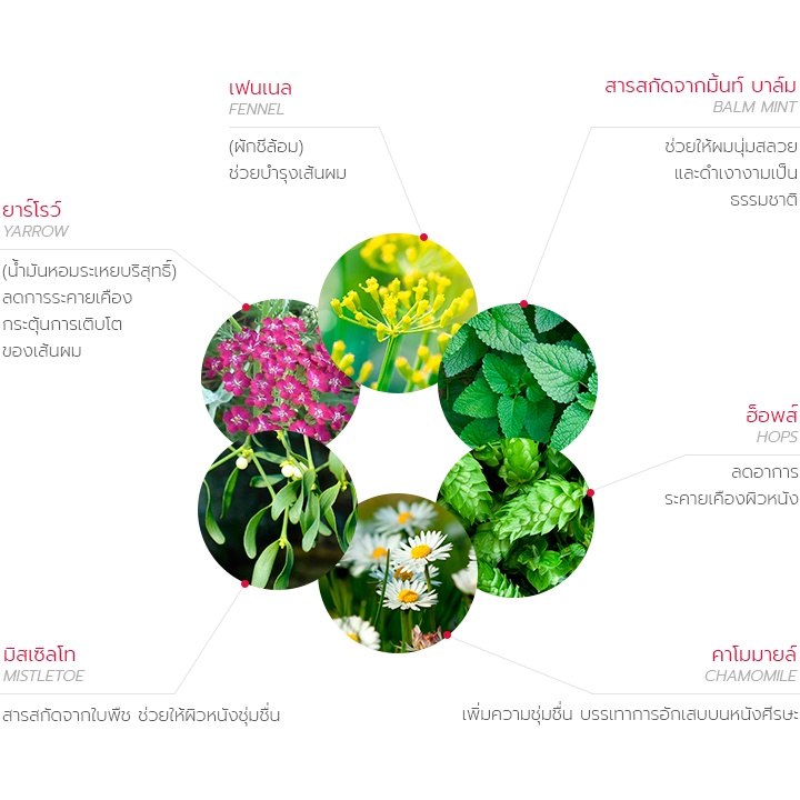 บีเง็น สปีดี้ คัลเลอร์ Bigen Speedy Color