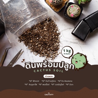 ดินปลูกกระบองเพชรส่วนผสม 7 ชนิด Cactus Soil ดินผสมระบายน้ำดี ดินปลูกแคคตัส