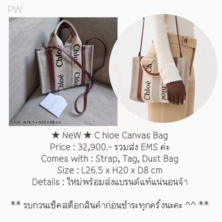 ★ NeW ★ C hloe Canvas Bag