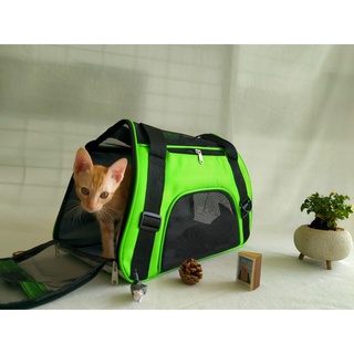 กระเป๋าสัตว์เลี้ยงน้องหมาน้องแมว แบบสะพายข้างปรับสายสะพายได้ Pet Carrier Bag [พร้อมส่ง] #mirapetsupplies