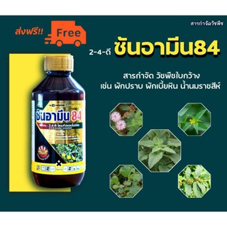 🚨ส่งฟรี!!!🚨สารกำจัดวัชพืชใบกว้าง กก 2-4d ทูโฟร์ดี ซันอามีน 1 ลิตร