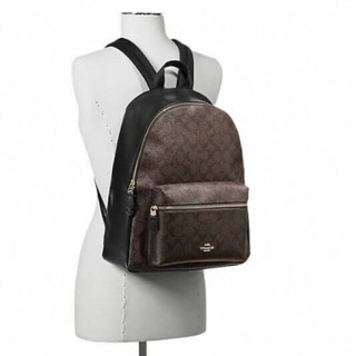 Coach Charlie Backpack In Signature F38301