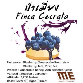 เมล็ดกาแฟ ป่าเมี่ยง Finca Crecata Blue Magic (Blueberry ชัดมาก)