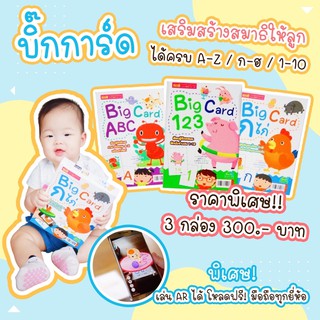 บิ๊กการ์ด -- แฟลชการ์ดเสริมพัฒนาการ 3 หมวด กขค ABC 123 คล้ายของชิจิดะ