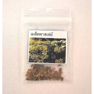 เมล็ด Parsley / พาสเล่ย์ 100 เมล็ด